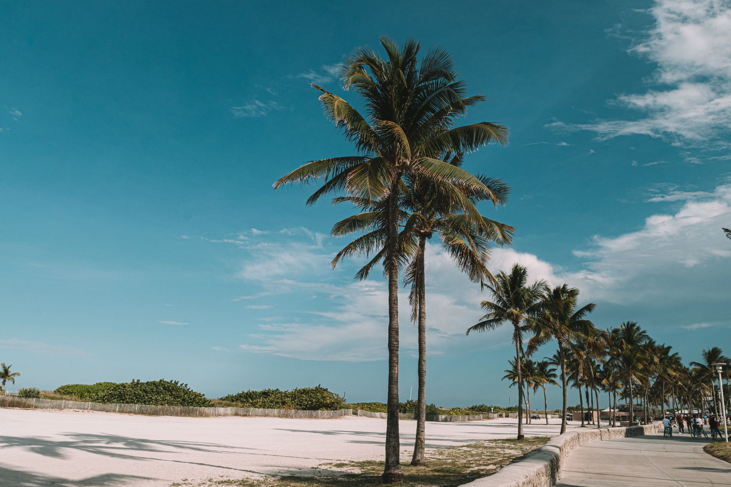 An Extended Journey of Caribbean Melodies and ABC Islands